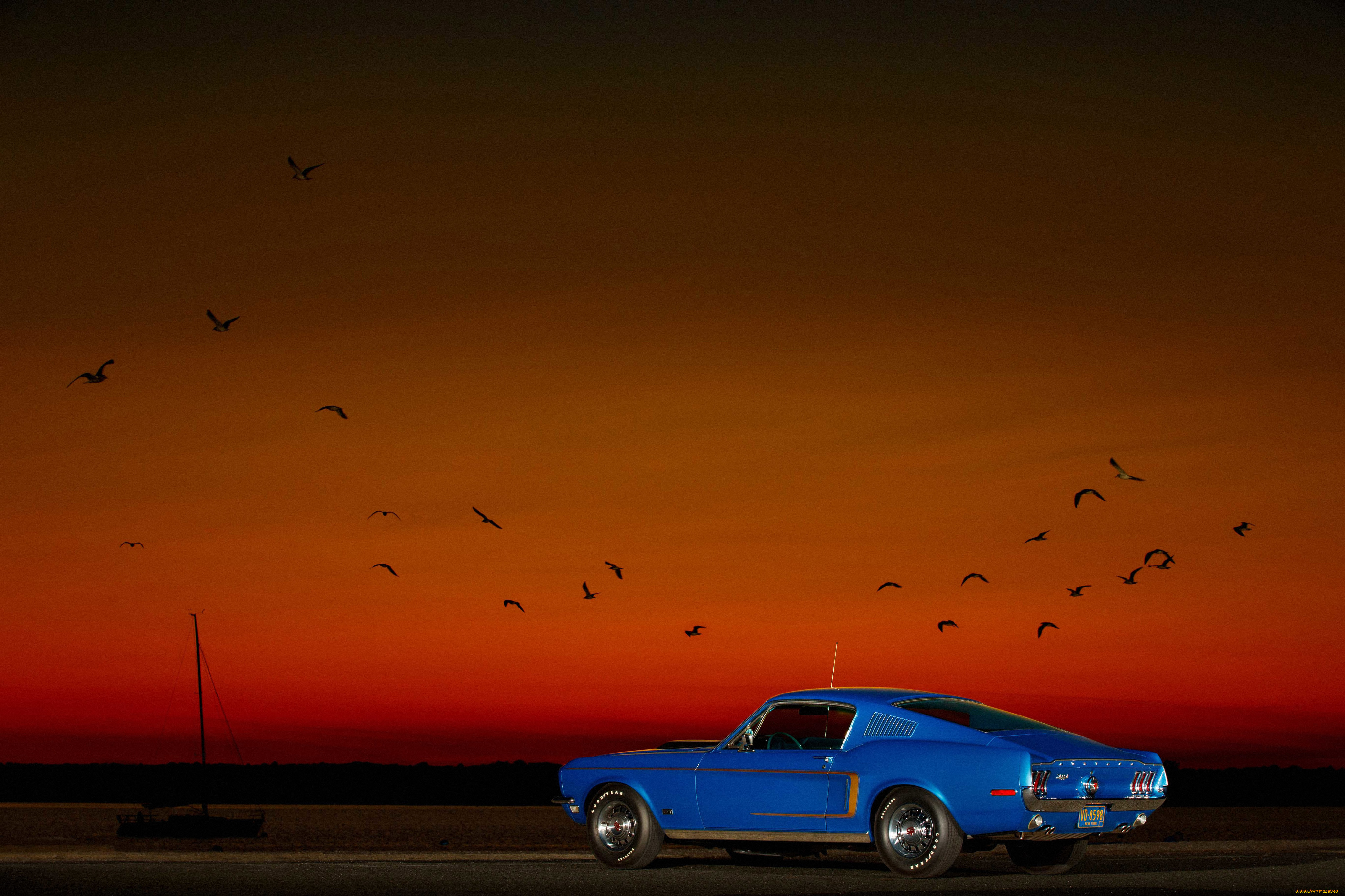 , mustang